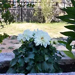 アパート With Parking Space Biograd Na Moru, Biograd - 368