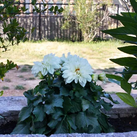 Apartamento With Parking Space Biograd Na Moru, Biograd - 368