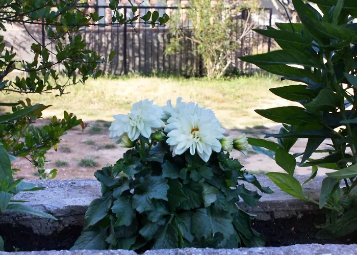 Apartman With Parking Space Biograd Na Moru, Biograd - 368